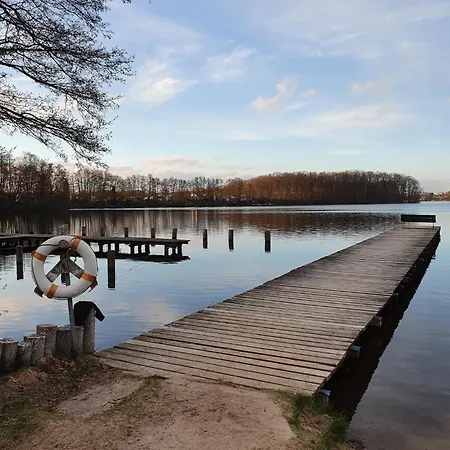 Vanessa Fuer 8 Personen Dummer